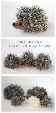 Eyelash Yarn Crochet, Crochet Hedgehog Pattern, Baby Hedgehogs, Hedgehog Pattern, Crochet Hedgehog, Crochet Toys Free, Baby Hedgehog, Animal Knitting Patterns, Sweater Patterns