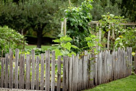 Want that natural fence.  Maybe pointed pickets or this fence of many size pickets.  I think I really like this one.  How primitive. Cheap Garden Fencing, Small Garden Fence, Rustic Garden Fence, Diy Garden Fence, Fence Plants, Garden Fence Panels, Rustic Fence, Natural Fence, Rustic Backyard