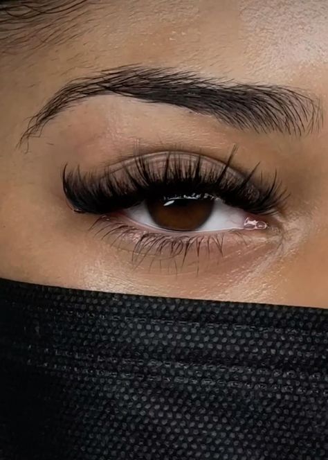 Pretty Eye Lashes, Hybrid Lashes For Small Eyes, Short And Full Lash Extensions, Hybrid Wispy Set, Fluffy Individual Lashes, Eyelash Extensions Styles Classic, Short Hybrid Lashes, 16mm Lash Extensions, Hybrid Wispy Eyelash Extensions Cat Eye