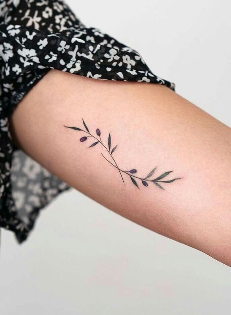 Ankle Olive Branch Tattoo, Tattoo Ideas Olive Branch, Olive Branch Tattoo With Words, Two Olive Branch Tattoo, Olive Branch Small Tattoo, Olive Branch Tattoos For Women, Small Olive Branch Tattoo Simple, Olive Tattoo Branch, Olive Branches Tattoo