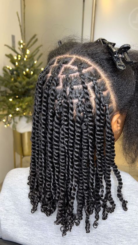 Twistout On 4c Hair, 4c Hairstyles Braids, Styles For Twists, Braided Protective Styles Natural Hair, Natural Hairstyles For Black Women Protective, Hair Braids Natural Hair, Medium Twists, Natural Twist Hairstyles, Hairstyles On Natural Hair