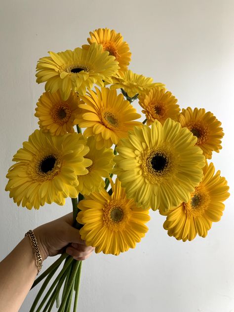 Gerbera Daisy Aesthetic, Gerba Daisy, Yellow Daisy Bouquet, Yellow Flowers Aesthetic, Yellow Gerbera Daisy, Yellow Flower Bouquet, Yellow Flowers Bouquet, Gerbera Daisy Bouquet, Gerbera Bouquet