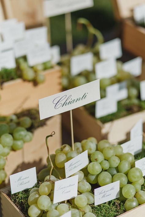 Grape Vine Wedding Decor, White Italian Wedding, Vineyard Picnic, Berry Decor, Vine Decor, Brides Mate, Outdoor Greenery, Wedding License, People Getting Married