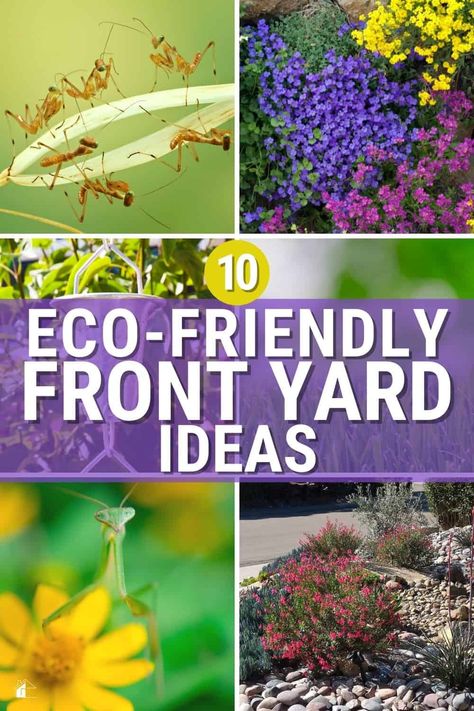 As a homeowner, you want your yard to look great, but you also want to make sure that you are environmentally responsible. So check out these eco-friendly front yard ideas to help you achieve both goals! via @mystayathome Landscaping Porch, Landscape Ideas Front Yard Curb Appeal, Front Porch Plants, Curb Appeal Ideas, Front Yard Ideas, Evergreen Bush, Front Yard Plants, Porch Remodel, Sustainable Landscaping