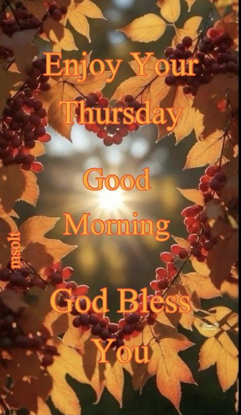 Thursday Morning Greetings, Good Morning Happy Thursday Blessings, Thursday Blessings Inspiration, Bless Thursday, Good Morning Thursday Blessings, Thursday Blessings, Morning Thursday, Good Morning Happy Thursday, Good Thursday