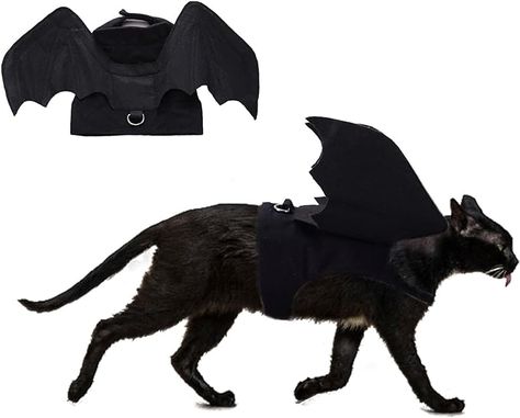 Amazon.com : RYPET Cat Halloween Costume - Halloween Bat Wings Pet Costumes for Small Dogs Cats Halloween Party Small : Pet Supplies Dog Spider Costume, Bat Wings Costume, Cat Dog Costume, Pet Costumes Cat, Bat Animal, Cats Halloween, Bat Costume, Cat Halloween Costume, Pet Halloween Costumes