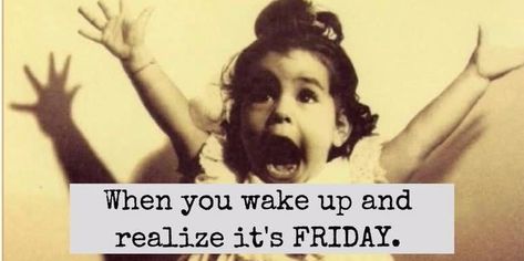 Happy Friday Meme, Funny Wednesday Memes, Leaving Work On Friday, Wednesday Memes, Friday Memes, Wednesday Humor, Friday Meme, Funny Friday Memes, Happy Friday Quotes