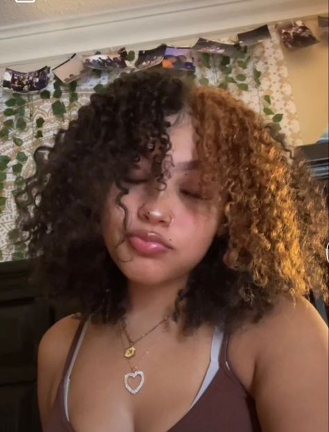 Half And Half Curly Hair Color, Light Brown Skunk Stripe Curly Hair, Skunk Stripe Type 4 Hair, Section Hair For Color, Coily Hair Dye Ideas, Wolf Cut Curly Hair Black Women, Black And Blonde Curly Hair, Curly Hair Dyed Underneath, Short Curly Hair Dyed