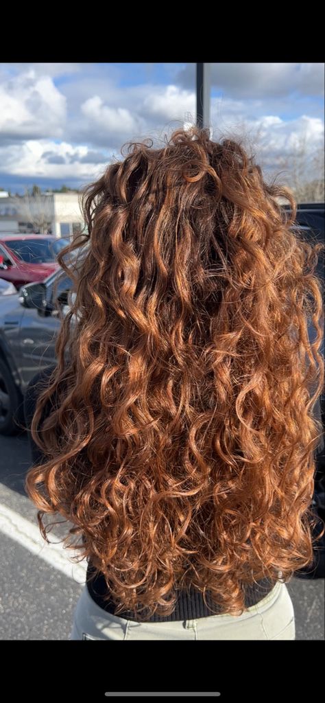 Auburn Toned Hair, Light Brown Ginger Curly Hair, Copper Brown Hair With Highlights Curly Hair, Light Brown Copper Curly Hair, Cowboy Copper Hair On Curly Hair, Cowgirl Copper On Curly Hair, Caramel Highlights On Auburn Hair, Honey Copper Hair Curly, Red Highlights In Brown Hair Natural