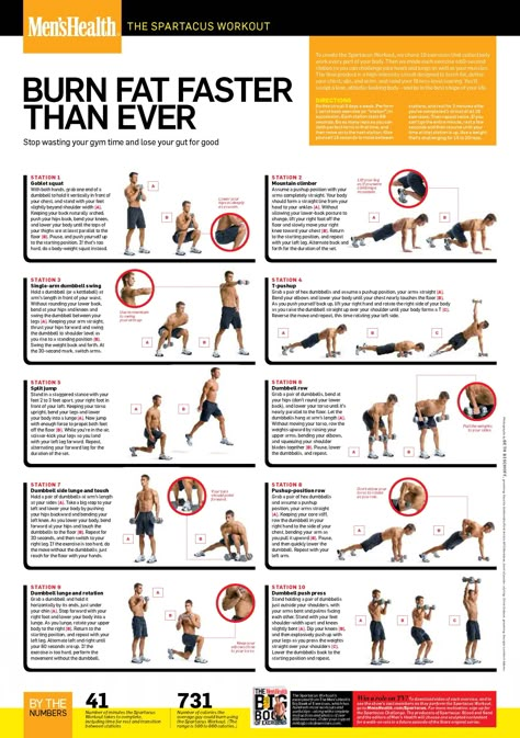 The Spartacus Workout! yes it's from men's health but this is a great workout for women too. Burns an average of 731 calories in 41 minutes; and all you need is a dumbbell. Spartacus Workout, Fitness Before After, Workout Fat Burning, Hardcore Workout, Fitness Apps, Hiit Workouts, Ab Workout At Home, Burn Fat Faster, An Exercise