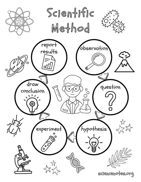 Scientific Method Coloring Sheet Scientific Method Grade 1, Chemistry Coloring Pages, Biology Coloring Pages, Science Coloring Pages Free Printable, 3rd Grade Science Projects, Scientific Method Printable, Science Coloring Pages, Free Science Printables, Biology Scientist