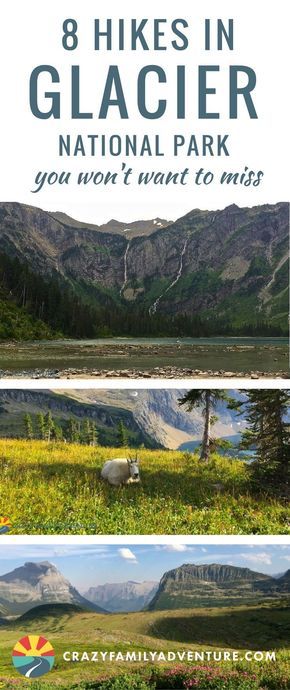 8 Hikes in Glacier National Park You Won't Want to Miss- If hitting the #trails and seeing #beautifulplaces is one of your favorite pastimes, then you definitely want to add #GlacierNationalPark to your hiking itinerary! We are sharing 8 of our favorite #hikes in #Montana at #Glacier! Glacier National Park Trip, Montana Vacation, Glacier National Park Montana, Glacier Park, National Parks Usa, Family Travel Destinations, National Parks Trip, Usa Travel Destinations, Us National Parks