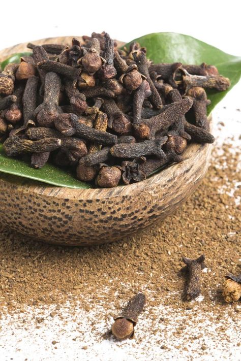 Clove Plant, Dried Cloves, Cloves Benefits, Chai Recipe, Clove Bud, Clove Oil, Natural Antibiotics, High Fat Diet, Traditional Medicine