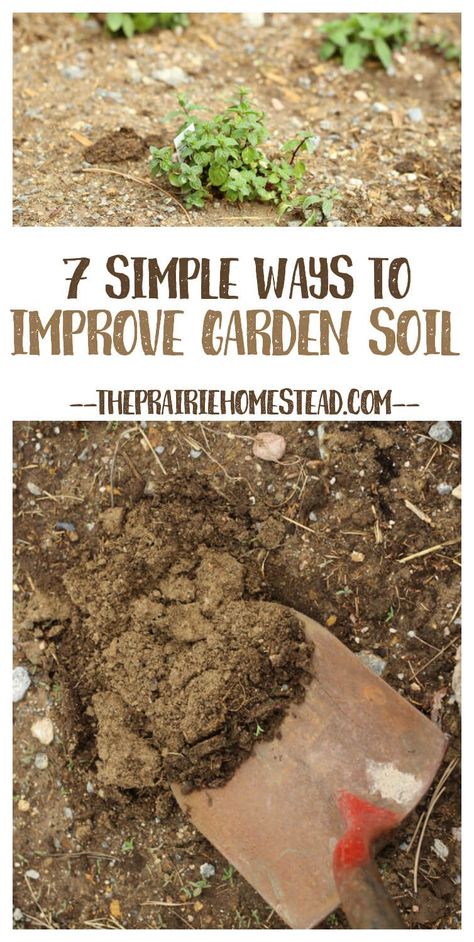 Garden Plot, Compost Soil, Garden Plots, Growing Veggies, There Is Hope, Garden Compost, Astuces Diy, Soil Improvement, Garden Care