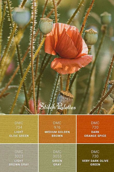 Floral Color Palette, Stitch Palettes, Driftwood Light, Medium Golden Brown, Seeds Color, Red Poppy Flower, Poppy Color, Light Olive Green, House Color Palettes