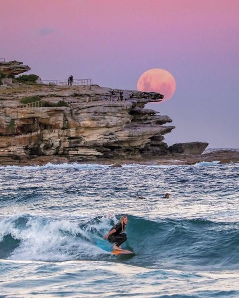 Bondi Rescue, Bondi Beach Australia, Australia Beach, Ayers Rock, Photography Genres, Australian Beach, Photography Kit, Aesthetic Board, Ocean Wallpaper