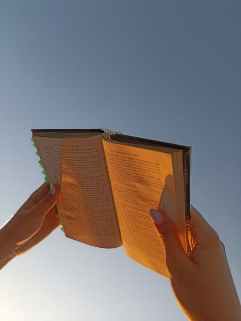 Two hands holding up at the sky a book that has almost turned golden from the rays of the setting sun that fall on it while only the light blue sky is seen in the background. The book is Charlotte Bronte's Wuthering heights. Golden Aesthetics, Golden Hour Aesthetic, Cute Products, You're So Golden, Aesthetic Objects, Golden Hour Photos, Golden Hour Photography, Yellow Aesthetic, High Fantasy