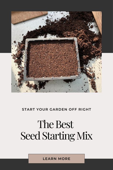 black seed tray with seed starting mix When To Plant Seeds, Seed Starters, Starting Seeds, Tomato Seedlings, Seed Starting Mix, Herb Gardening, Starting Seeds Indoors, Seed Starter, Plant Guide