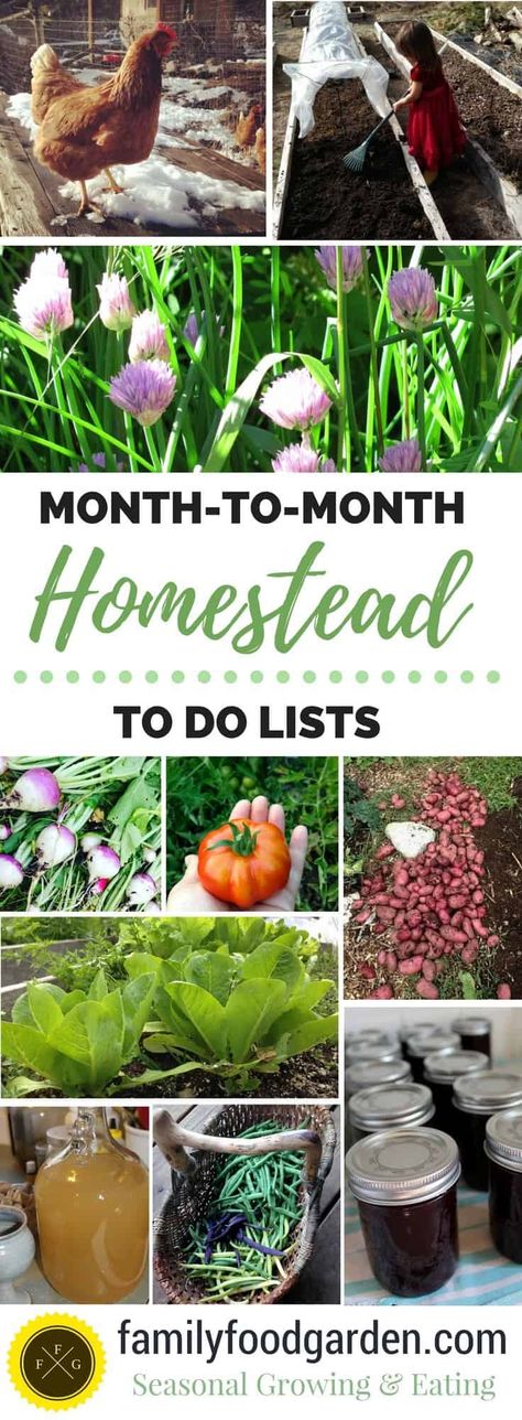 Homestead To Do List, Homesteading Diy, Homestead Farm, Homestead Gardens, Homesteading Skills, Homestead Living, To Do Lists, Urban Homesteading, Living Off The Land