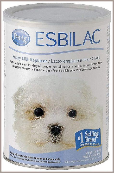 (3 Pack) Pet Ag Esbilac Powder Puppy Milk Replacer and Dog Food Supplement - 12 Ounce German Shepherd Names, Puppy List, Medium Dog Bed, Writing Plot, Pet Items, Dog Milk, Dog Supplements, Puppy Food, Pet Stuff