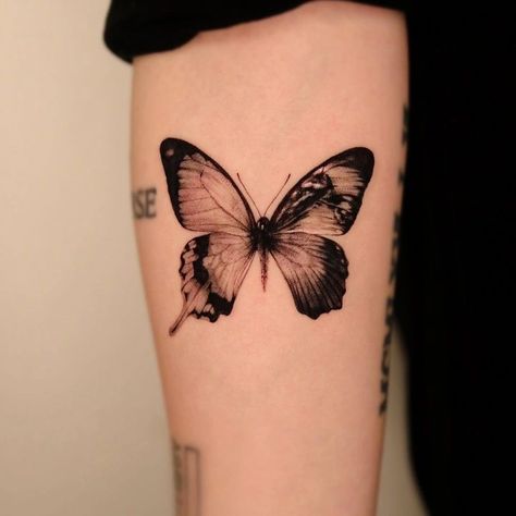 Womens Skull Tattoo Sleeve, Butterfly Throat Tattoos Women, Butterfly Tattoo Shaded, Butterfly With Eyes Tattoo, Butterfly Cover Up Tattoo, Three Butterflies Tattoo, Butterfly Tattoo Placement Ideas, Butterfly Flash, Borboleta Tattoo