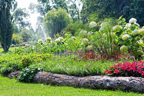 7 Beautiful Garden Edging Ideas That Will Dress Up Your Landscape