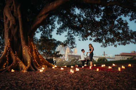 Stunning set up done by my proposal co. Proposal consists of LED candles surrounding a late tree that has fairy lights bleeding from it. Red rose petals were scattered around the candles to create a romantic effect #proposal #marriageproposal #engaged #diamondring #tablefortwo #redroses #fairylights #fairylightree #rosepetals Under Tree Proposal, Proposal Under Tree, Floating Lantern Proposal, Luxury Proposal Ideas, Fairy Lights Proposal, Outdoor Proposal Ideas Woods, Proposal Set Up Ideas Outside Night, Fairy Proposal, Fairy Light Proposal