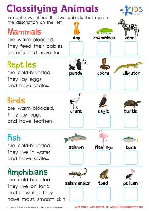 Classifications Of Animals, Different Types Of Animals Worksheet, Animal Types Activities, Animal Reproduction Activities, Kinds Of Animals Worksheets, Types Of Animals Kindergarten, Animal Classification Worksheet Free Printable, Classification Of Animals Project, Classifying Animals Activities