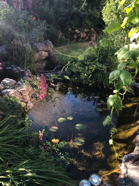 #pond #thatgirl #astethic #teich #waterlilies Water Astethic, Drawing Astethic, Lily Pond, Cinematic Photography, Water Lily, Water Lilies, Dream Room, Drawing Ideas, Instagram Feed