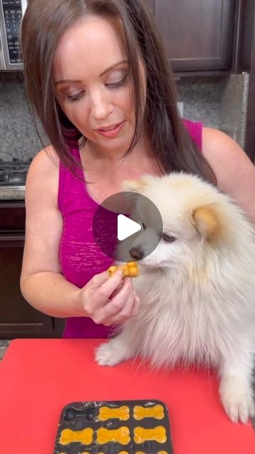 Mistie Knight on Instagram: "Easy Homemade Dog Treats! 🐾❤️ #dogs #pets #puppies #pomeranian #chihuahua #puppy #recipe #cooking #baking #cuteanimals" Easy Homemade Dog Treats, Puppies Pomeranian, Pomeranian Chihuahua Mix, Pomeranian Chihuahua, Chihuahua Puppy, Chihuahua Mix, Pomeranian Puppy, Homemade Dog, Easy Homemade