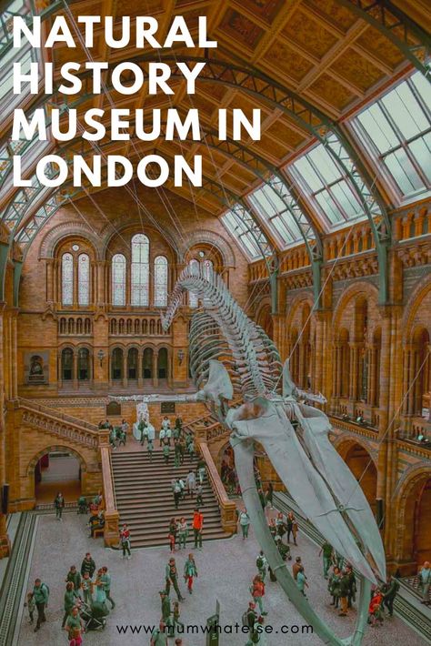 natural history museum london review Uk Attractions, American History Projects, Natural History Museum London, Museum Logo, London Kids, London With Kids, Funny Art History, Europe 2023, Travel International