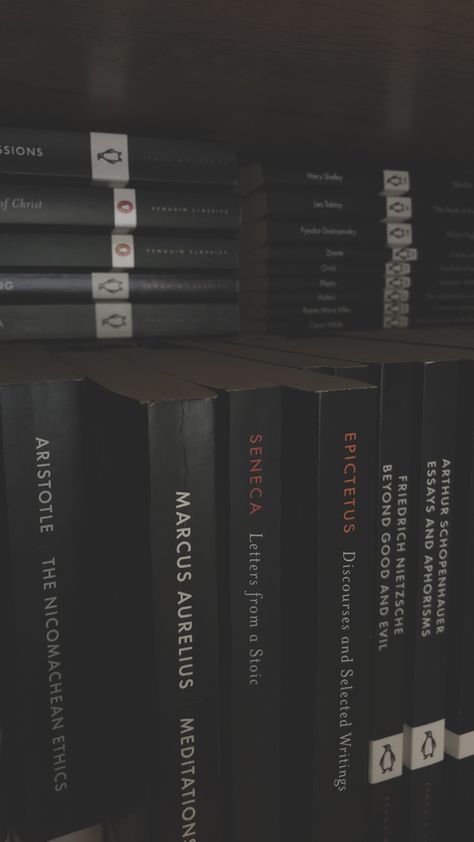 Dark Stoic Aesthetic, Philosophy Core Aesthetic, Stoic Man Aesthetic, Psychology Dark Academia Aesthetic, Dark Philosophy Aesthetic, Philosophy Professor Aesthetic, Studying Philosophy Aesthetic, Philosophy Wallpaper Aesthetic, Dark Academia Philosophy