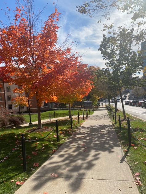 fall weather- penn state fall- fall walk #fall Penn State Aesthetic, Fall Szn, College Vibes, Fall Walk, Fall Aesthetics, Dream Future, Dream College, Dream School, Fall Weather