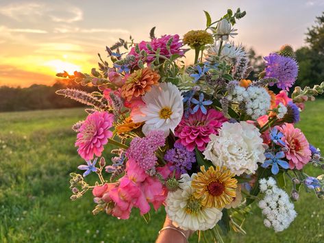 Mixed Flower Bouquet, 2025 Wedding, Cabin Wedding, Reference Pics, Boquette Flowers, Prom Flowers, Flowers Ideas, Nothing But Flowers, Flower Therapy