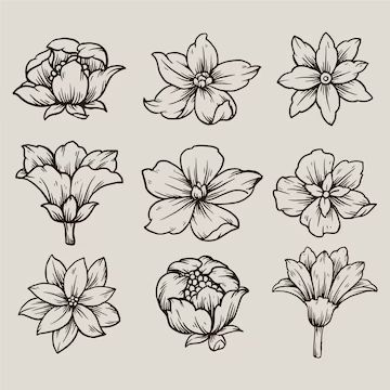 Halloween Flower Drawing, Commercial Background, Floral Drawings, Spring Drawing, Doodle Art Flowers, Different Types Of Flowers, Flower Art Drawing, Hand Flowers, Flower Collection