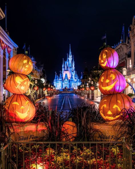 Disney Main Street Wallpaper, Disneyworld Halloween Aesthetic, Disney In Halloween, Walt Disney World Halloween, Disney World Halloween Wallpaper, Disneyland Halloween Wallpaper, Disney Fall Aesthetic, Halloween Disney Aesthetic, Disneyland Halloween Aesthetic