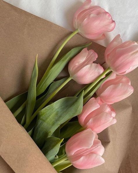 Bloomed Tulips, Aesthetic Spring, Flower Therapy, Images Esthétiques, Spring Aesthetic, Pink Tulips, Tulips Flowers, Brown Paper, Flowers Nature