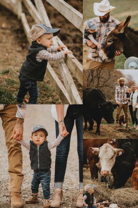 Family Photos On A Farm, Pasture Family Photos, Cattle Family Pictures, One Year Old Farm Photo Shoot, Family Photos Farm Ideas Country Life, First Birthday Farm Photoshoot, Fall Family Farm Pictures, Homestead Family Photoshoot, Cow Family Pictures