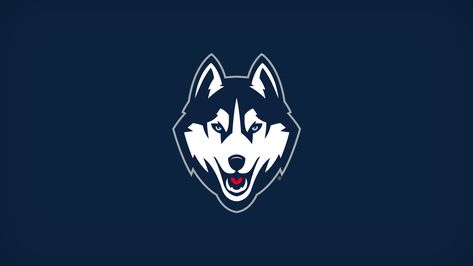 UConn Announces Changes to Division of Athletics Uconn Wallpaper, Uconn Aesthetic, Transition Music, Canteen Design, Husky Logo, Uconn Womens Basketball, Team Builders, Dream Collage, Uconn Huskies