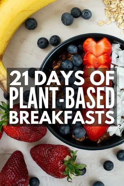 Plant Based Diet Meals, Plant Based Diet Meal Plan, Plant Based Recipes Breakfast, Cucumber Diet, Food Budget, Plant Based Diet Recipes, Plant Based Whole Foods, Plant Based Breakfast, Ketogenic Diet Meal Plan