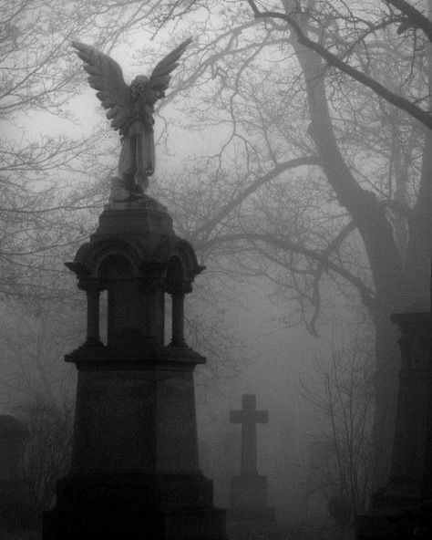 Angel Statue, An Angel, Cemetery, Trees, Angel, Statue