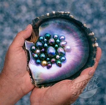 Black Pearls In An Oyster Shell, Tahiti Stock Photo Image - via http://bit.ly/epinner Tahitian Black Pearls, Bohol, Valerian, Rocks And Gems, Tahitian Pearls, Gems And Minerals, Crystal Gems, Crystals Minerals, Minerals Crystals