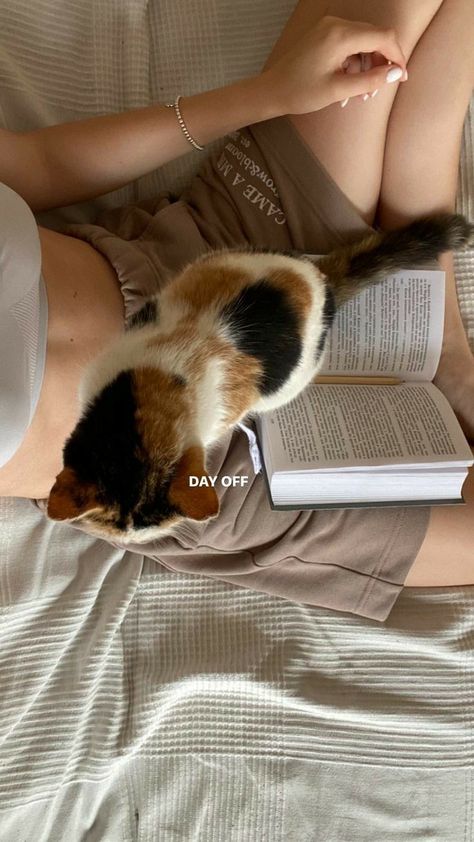 Flipagram Instagram, Foto Ideas Instagram, Cat Aesthetic, Story Instagram, Pretty Cats, Instagram Story Ideas, Study Motivation, Cat Mom, Book Aesthetic