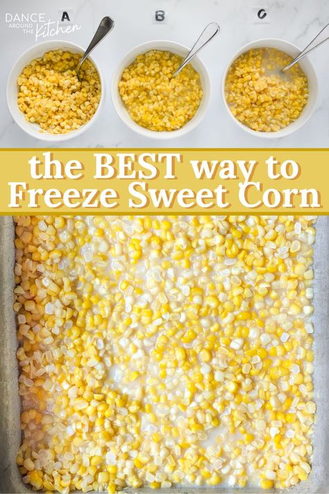 how to freeze corn on the cob How To Put Fresh Corn In Freezer, Sweet Corn Freezer Recipe, How To Freeze Fresh Sweet Corn, Preserving Sweet Corn, How To Preserve Fresh Corn, Freezing Sweet Corn Without Blanching, Preserving Corn Recipes, Preserving Fresh Corn, Freezer Corn Recipe No Cook