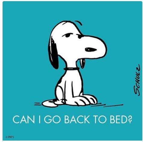 Snoopy Family, Back To Bed, Snoopy Funny, Snoopy Images, Peanuts Cartoon, Snoopy Quotes, Snoopy Pictures, Snoop Dog, Joe Cool