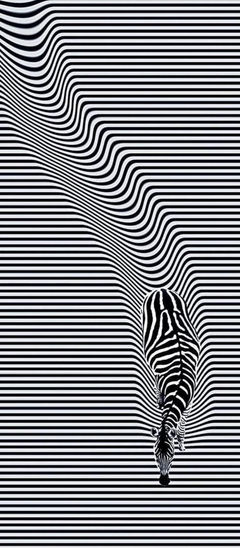 Illusion Art Black And White, Optical Illusion Mural, Opt Art Optical Illusions, Illusional Drawings, Optical Illusions Pictures Art, Optic Illusion Drawing, 3d Pictures Optical Illusions, Optical Illusion Art Projects, Optical Illusions Fashion