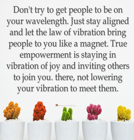 Don't try to get people to be on your wavelength. Just stay aligned and let the law of vibration bring people to you like a magnet. True empowerment is staying in vibration of joy and inviting others to join you. there, not lowering your vibration to meet them. #LifeLessons #lifeQuotes #dailyThoughts #dailyQuotes #quoteOfTheDay #quotesOfTheDay #dailyInspiration #inspire #inspireDaily #goodEvening #dailyThought #dailyMotivation #quote #RandomThoughts #RandomQuotes #RandomThought #RandomQuotes Wavelength Quotes, Low Vibration People, Vibrations Quotes, Law Of Vibration, Low Vibration, Daily Thoughts, Staying In, Daily Motivation, Daily Quotes