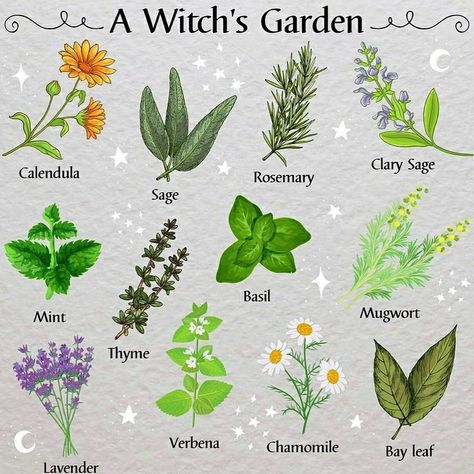 Witchy Herbs To Grow, A Witches Garden, Witches Herb Garden, Herbs Of Gemini, Tea Garden Plants List, Gardening Witchcraft, Witch Garden Ideas, Witch Herb Garden, Witchy Garden Ideas