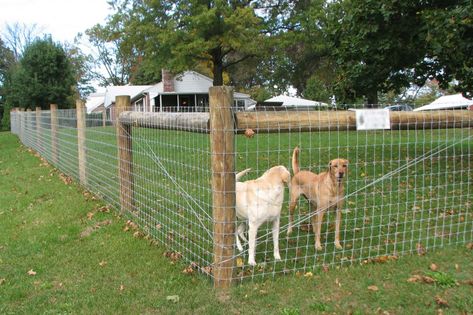 Woven wire fence installation in ranch house with acreage Pet Fence Ideas, Woven Wire Fence, Dog Yard Fence, Hog Wire Fence, Diy Dog Fence, Livestock Fence, Welded Wire Fence, Field Fence, Invisible Fence