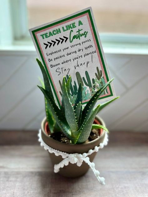 Succulents For Teacher Appreciation, Cactus Teacher Appreciation, Teacher Gift Plant, Plant Gift For Teacher, Plant Teacher Appreciation Gifts, Teacher Appreciation Plant Gifts, Cactus Teacher Gift, Teacher Plant Gift Ideas, Succulent Teacher Gift